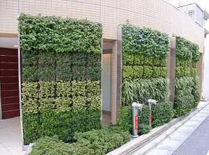 墙面绿化体系（总说明）