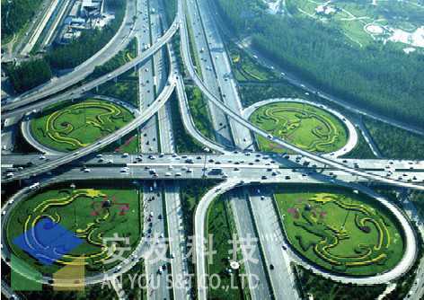 西安高架桥绿化工程项目